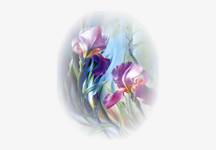 Images De Fleurs Vector Library Stock - Ирисы Фото, transparent png download