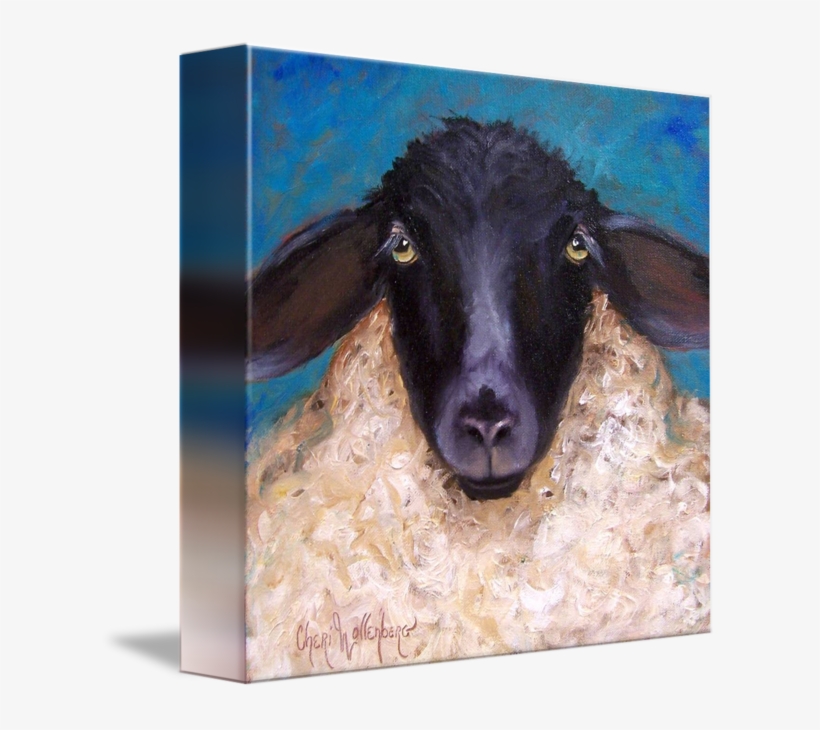 "lester" By Cheri Wollenberg - Lester The Lamb By Cheri Wollenberg Gallery Wrap Canvas, transparent png download