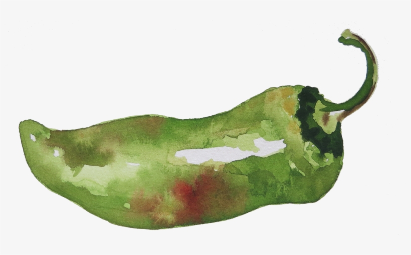 Watercolor By Charmaine Martinez - Habanero Chili, transparent png download