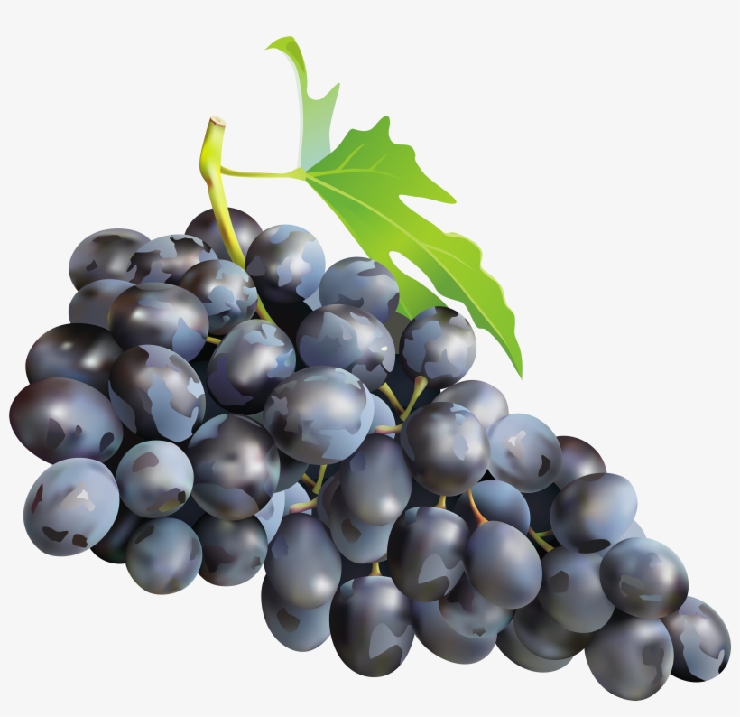 Black Grapes Png Clip Art Image - Grapes Png, transparent png download