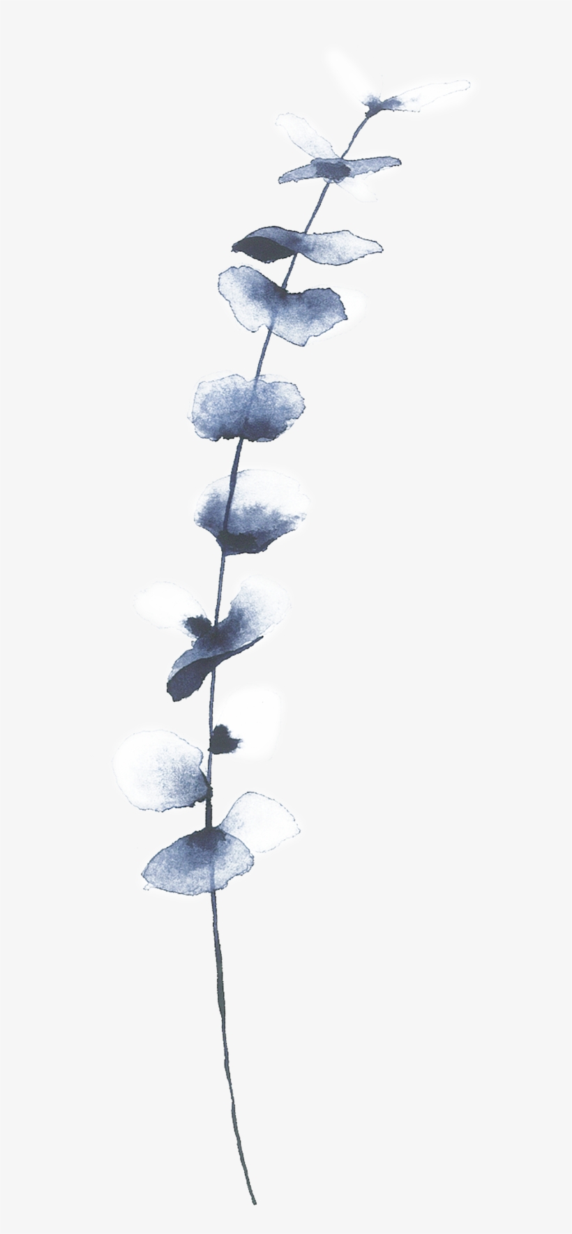 Of A Friends Wedding In The Summer Of - Necklace, transparent png download