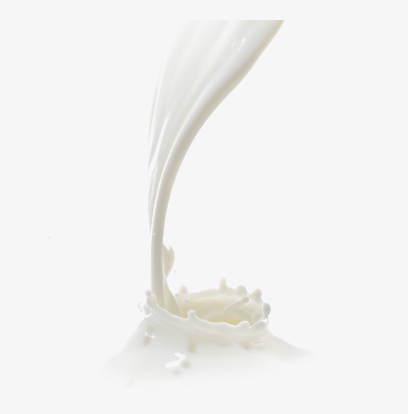 Milk Splash Png Picture - Milksplash Png, transparent png download