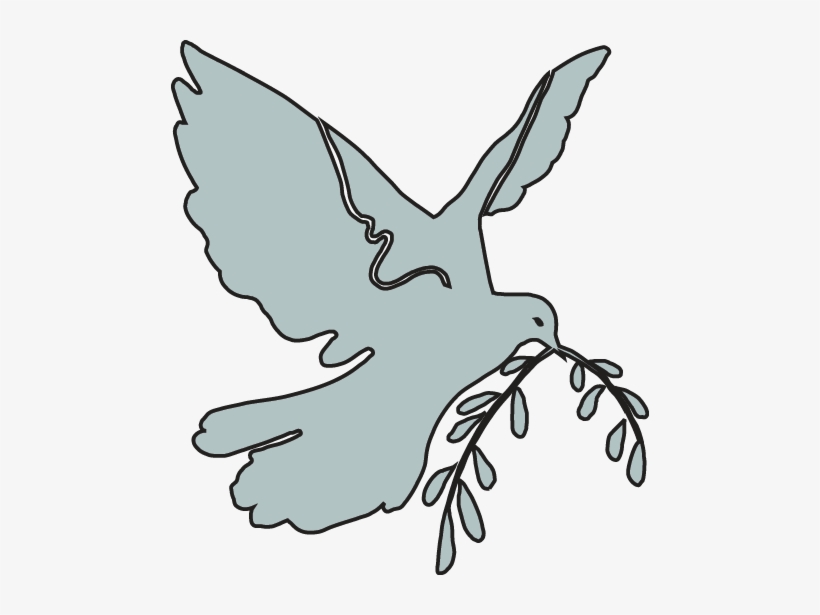 Dove, transparent png download
