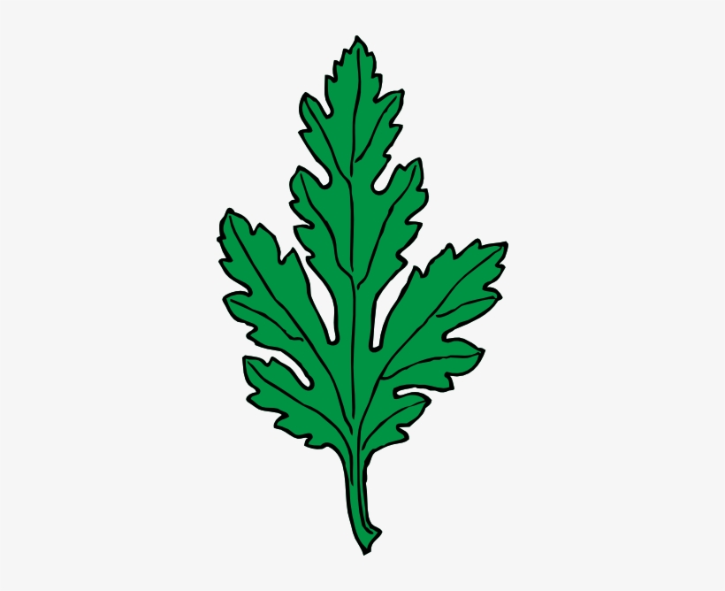 Watercolor Chrysanthemum, Cartoon, Hand Painted, Watercolor - Chrysanthemum Leaf, transparent png download