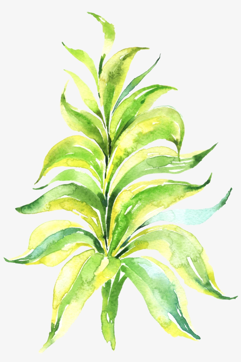 Watercolour - Clip Art, transparent png download