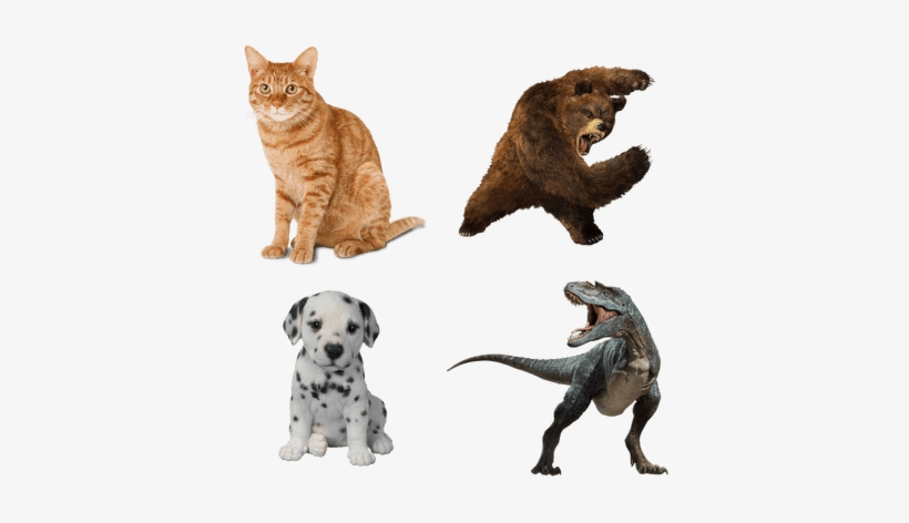 Animals - Fully Automatic Assault Meme, transparent png download