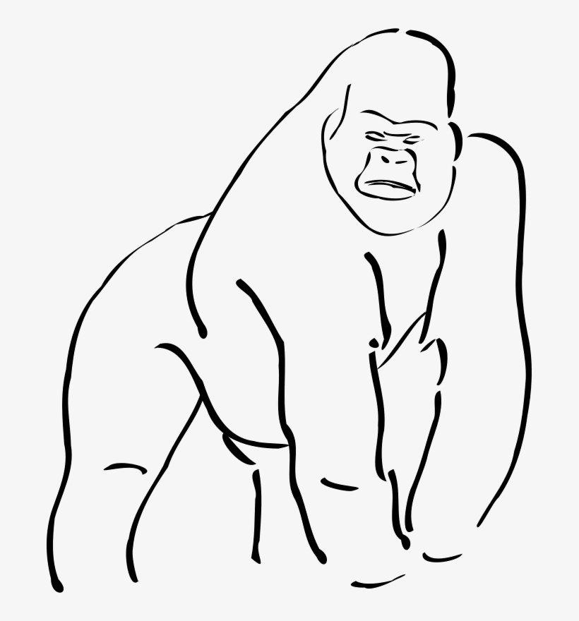 Cross River Gorilla Outline, transparent png download