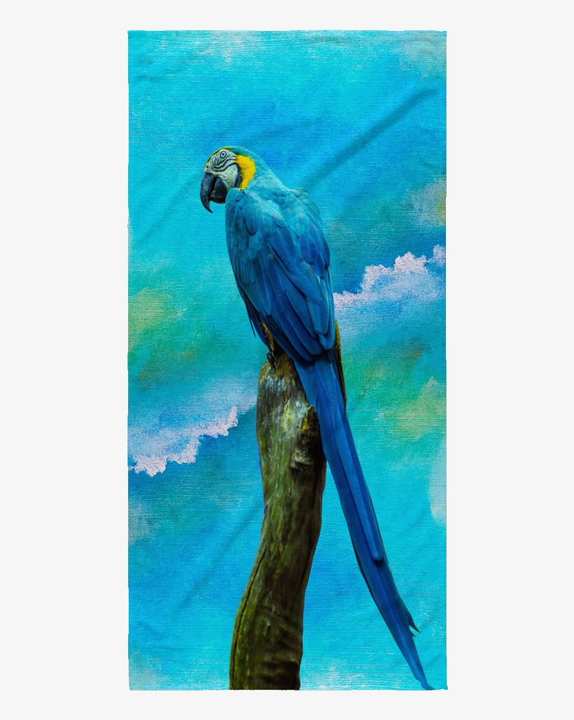 Beach Towel Parrot - Beach, transparent png download