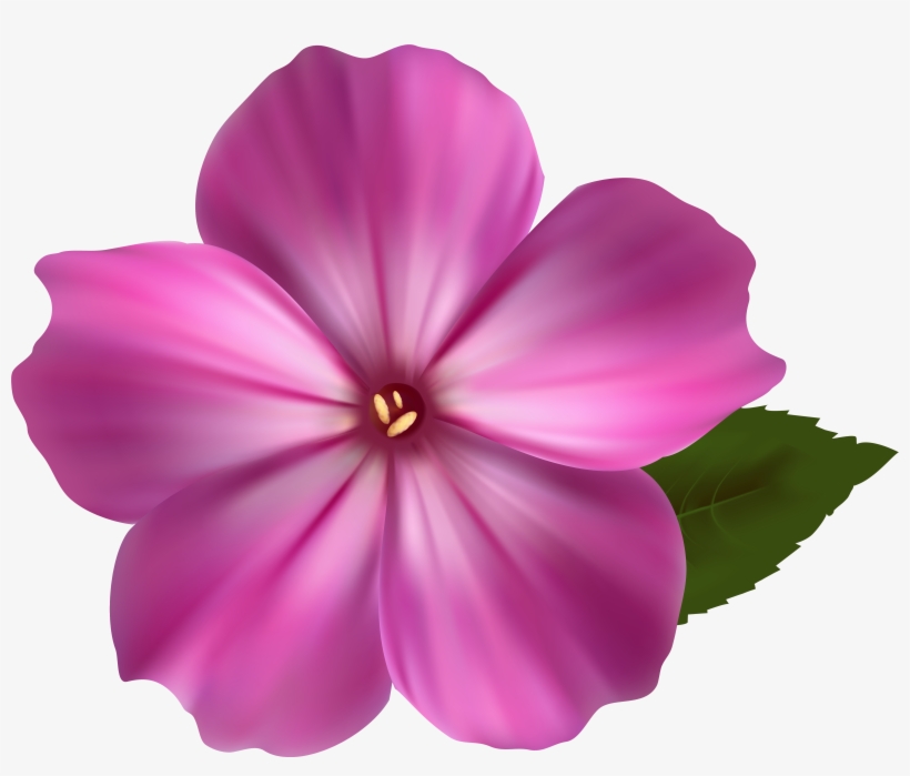 Pink Flower Png, transparent png download