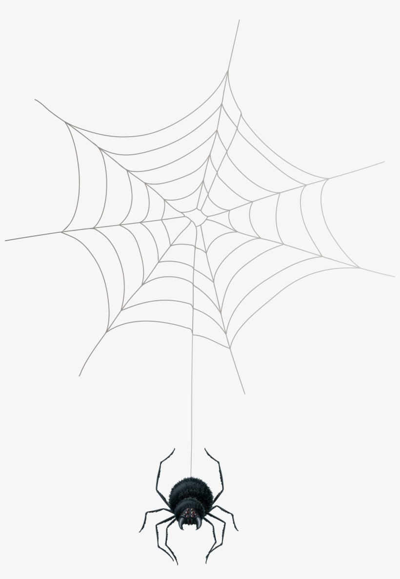 Spider Png, transparent png download