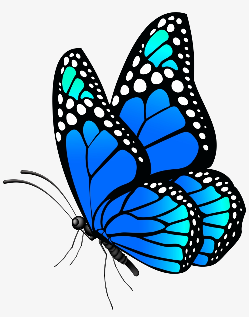 Butterflies Png, transparent png download