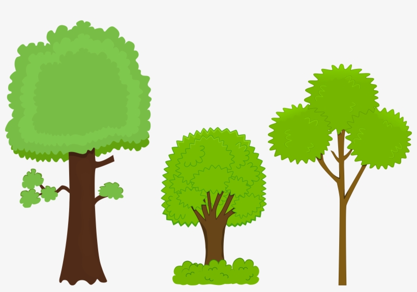 Impressive Clipart Pictures Of Trees Watercolor Tree - Three Trees