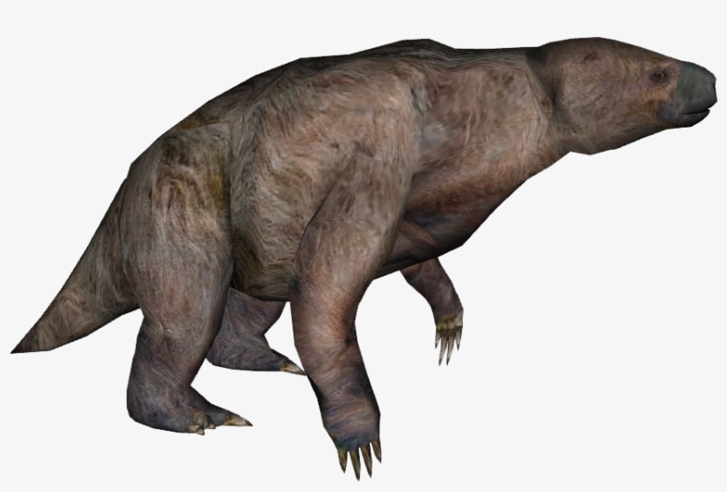 Giant Ground Sloth 2 - Giant Ground Sloth Png, transparent png download