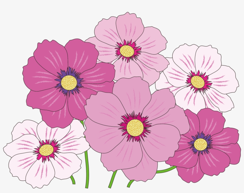 This Free Icons Png Design Of Pink And White Flowers, transparent png download
