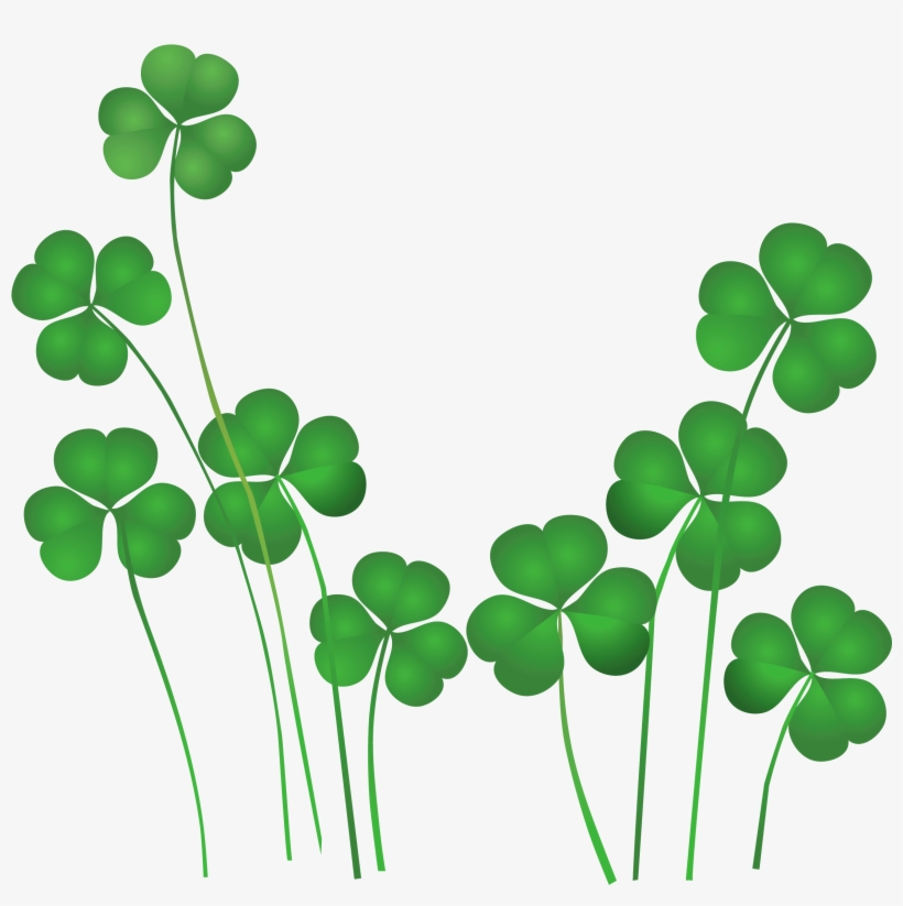 Clover Clipart Watercolor - St Patrick Day Salon Promotions, transparent png download