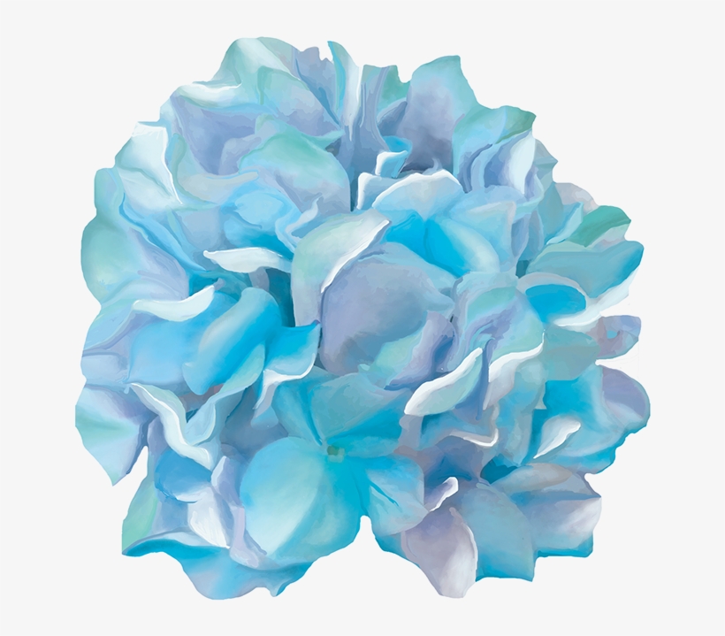 Thank You - Watercolor Hydrangeas Png, transparent png download