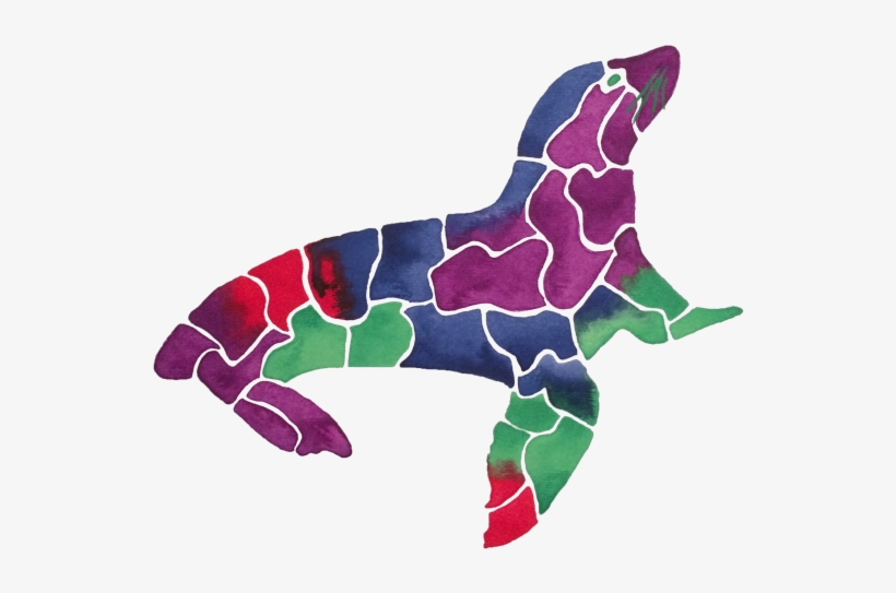 Sea Lion, transparent png download