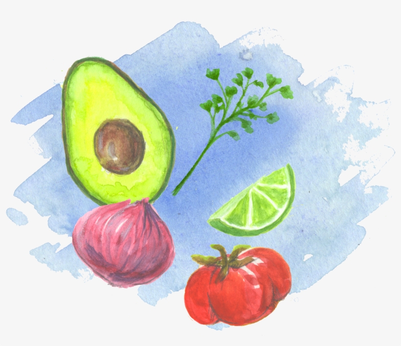 We Used Watercolor To Illustrate The Backs Of The Recipe - Watercolor Paint, transparent png download