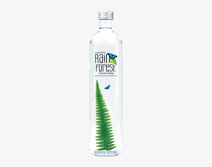 Rainforest Glass Png - Rain Forest Artesian Water - Still, 0,5l - 12 Tetra-paks, transparent png download
