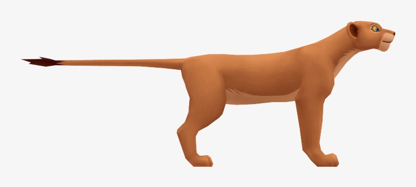 Download Zip Archive - 5 Examples Of Incomplete Dominanc, transparent png download