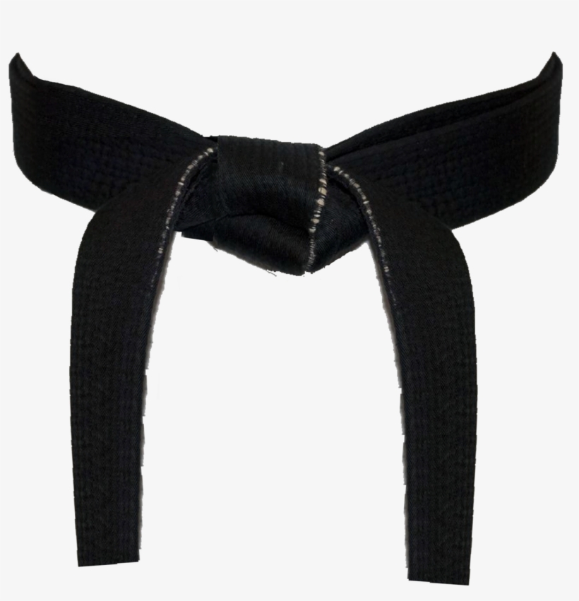Black Belt Don Johnson Don Kim Johnson's Chesterton - Black Belt Martial Art, transparent png download