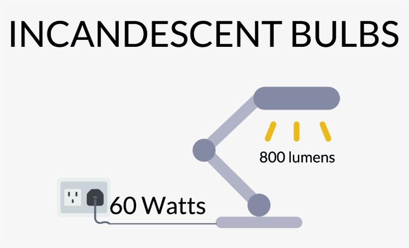 Led Spotlights Are Far More Efficient Than Halogen - 8 X 10, transparent png download