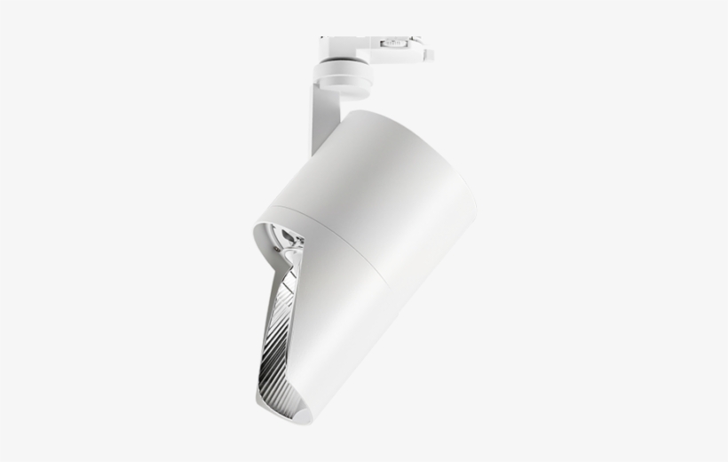 Spotlight - Venice, transparent png download