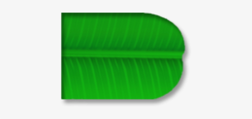 Paper Banana Leaf In Chennai Tamil Nadu Pata - Banana Leaf Paper Png, transparent png download