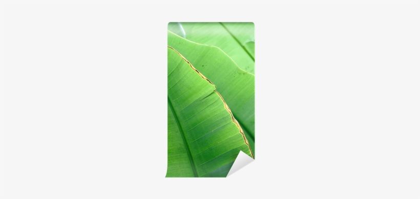 Light Switch, transparent png download