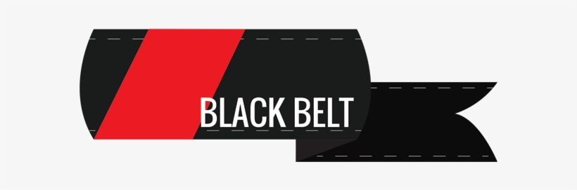 Black-belt - Phoenix Bjj & Mma Academy, transparent png download