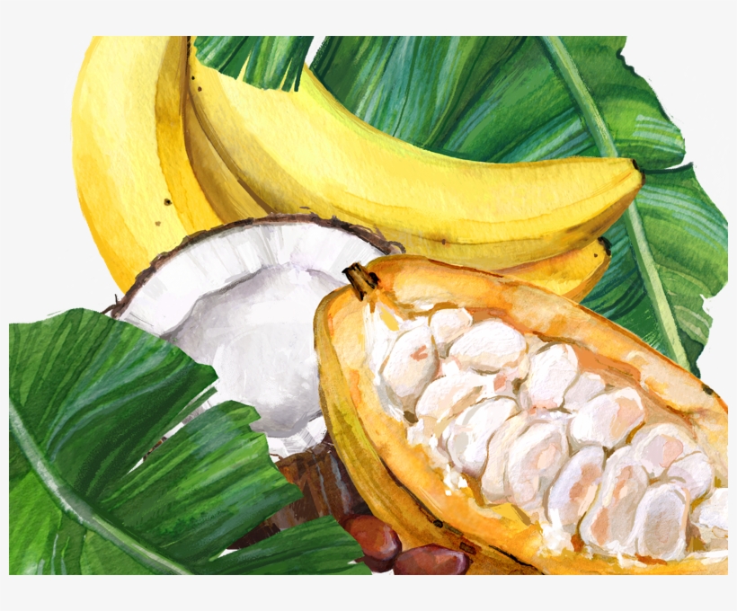 Image - Cocoa Banana, transparent png download