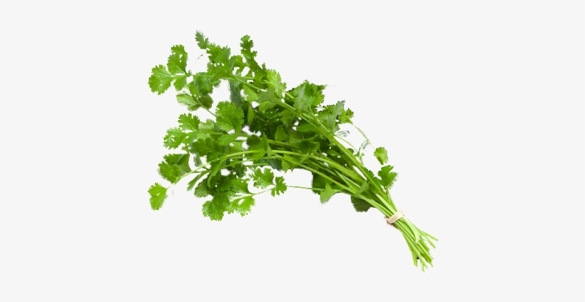 Type 1 Diabetes How To Get Rid Of Type 2 Diabetes,american - Personalised Gifts Shop My Soulmate Engraved Square, transparent png download