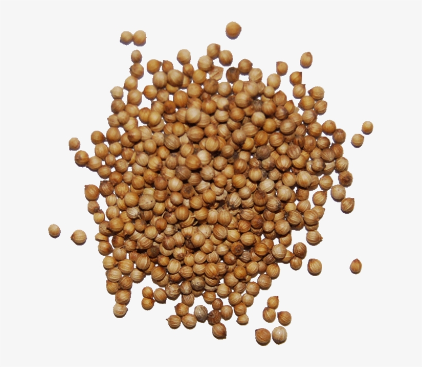 Coriander Seed - Condiment Transparent PNG - 1024x1024 - Free Download