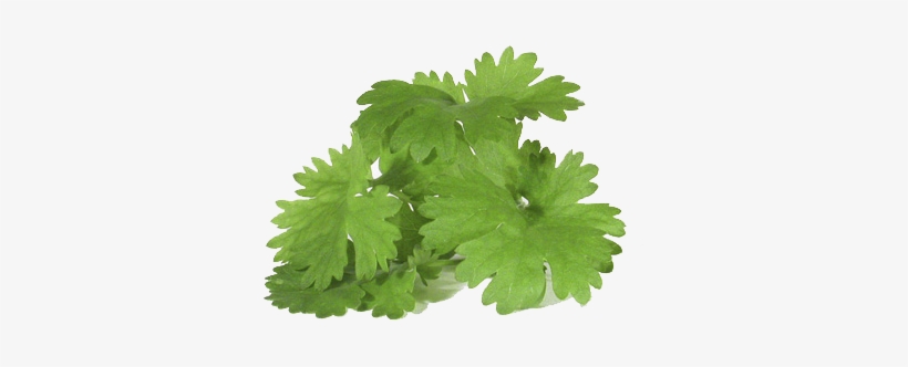 For An Added Treat, Mix In Shrimp Or Fresh Lobster - Organic Storage Seed Kit, transparent png download