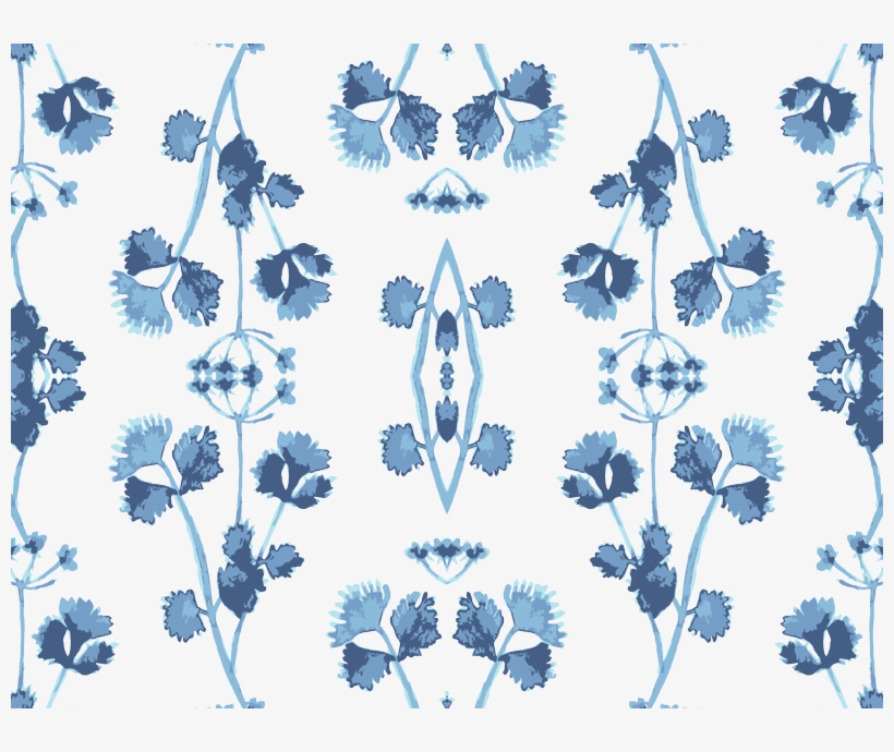 Flannel Flower, transparent png download