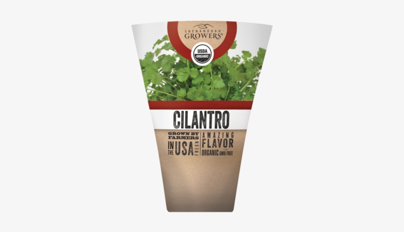 Healthy Cilantro Herb Seeds, transparent png download