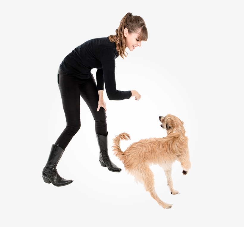 The Vsa Philosophy - Cat, transparent png download