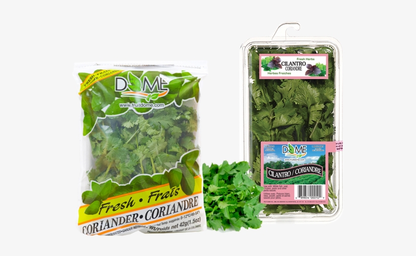 Spinach, transparent png download
