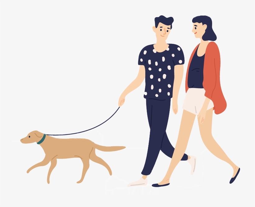 Pex Has Partnered With The Uk's Leading Insurers To - Dog Catches Something, transparent png download