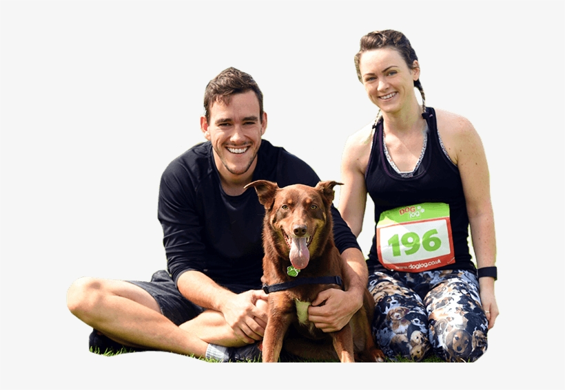 Well Done Dog Joggers - Galgo Español, transparent png download