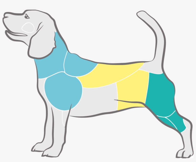 Img - Harrier, transparent png download