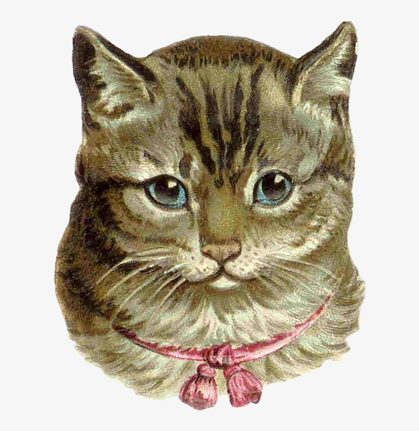 Grey Cat From Antique Images - Cross Stitch Patterns Pinc Cats, transparent png download