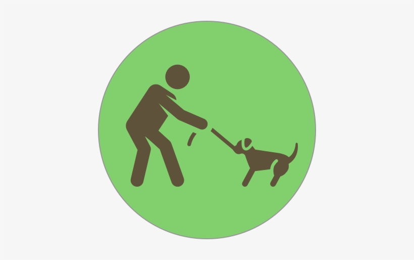 Charleston Dog Training Training Services Not Listening - Dog, transparent png download