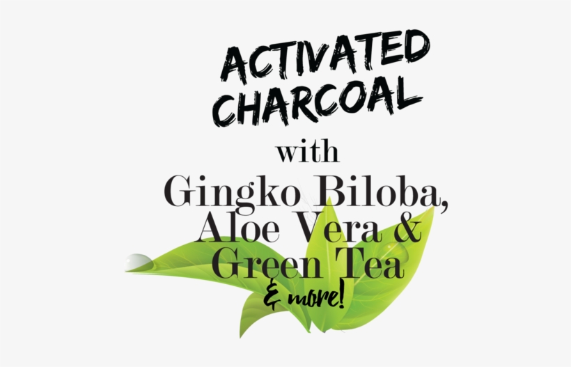 Exfoliating Fizz & Foam - Illustration, transparent png download