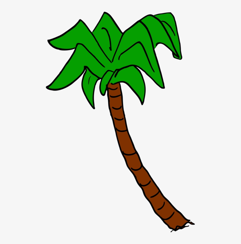 Palm Trees Leaf Color Plants - Palm Trees, transparent png download