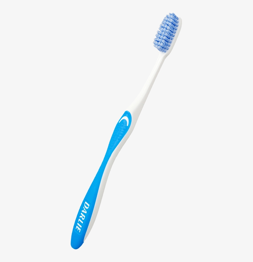 2018 Hawley & Hazel Co - Toothbrush, transparent png download