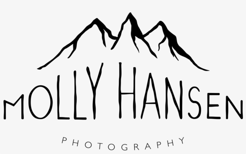 Molly Hansen Photography - Silhouette, transparent png download