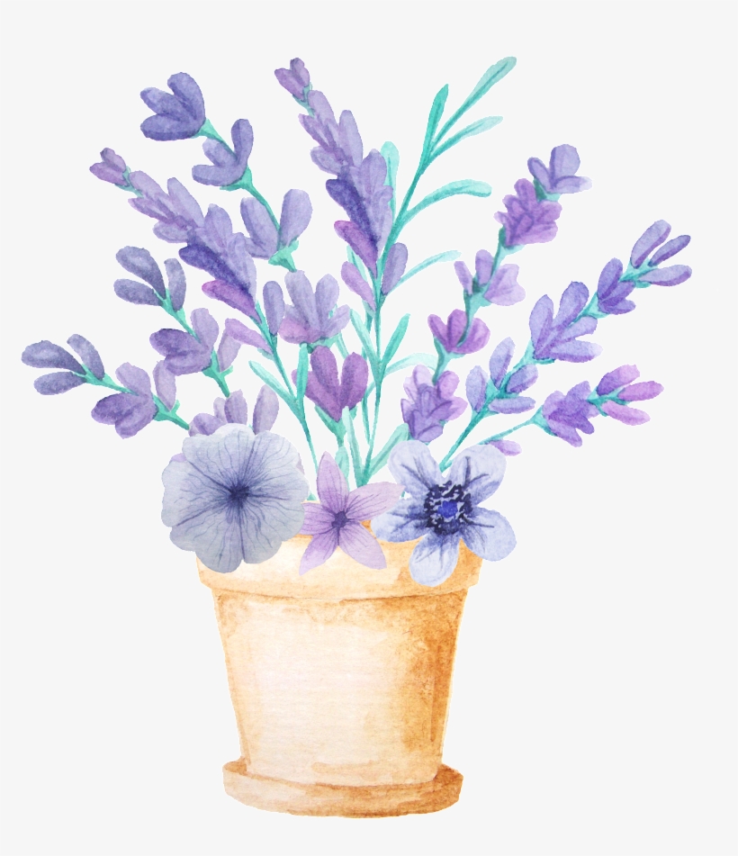 Flower Planting Transparent Decorative - 手繪 薰衣草, transparent png download