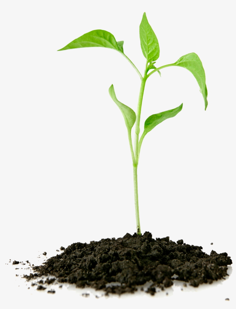 Thumb Image - Grow Your Faith, transparent png download