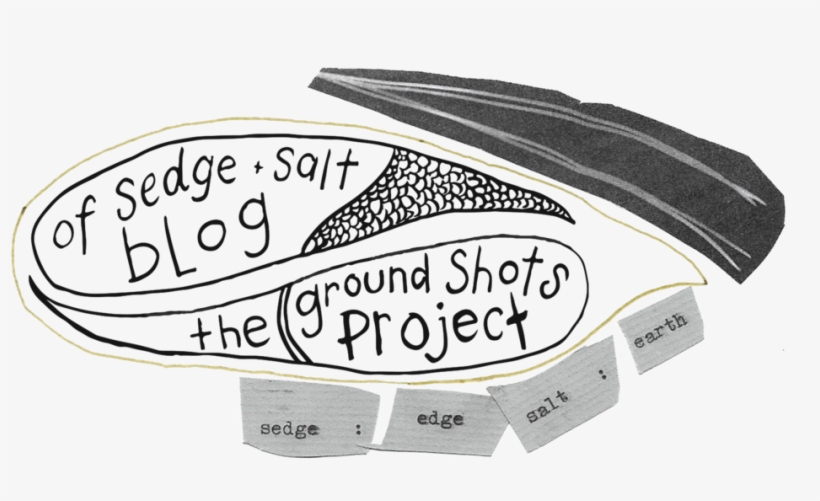 Salt.png, transparent png download